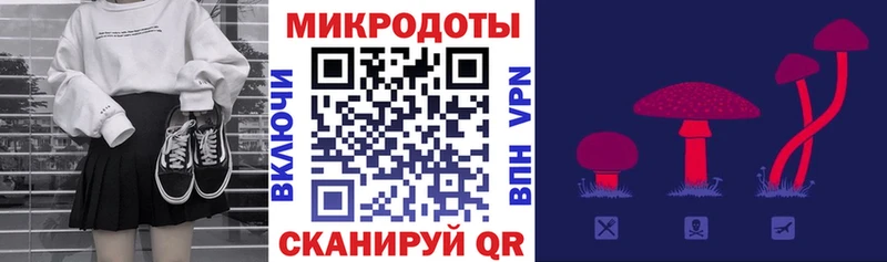 Галлюциногенные грибы Psilocybine cubensis  Новотитаровская 